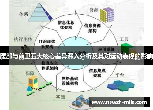 腰部与前卫五大核心差异深入分析及其对运动表现的影响 腰部与前卫五大核心差异深入分析及其对运动表现的影响