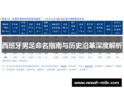 西班牙男足命名指南与历史沿革深度解析 西班牙男足命名指南与历史沿革深度解析