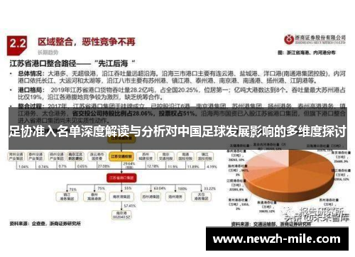 足协准入名单深度解读与分析对中国足球发展影响的多维度探讨 足协准入名单深度解读与分析对中国足球发展影响的多维度探讨