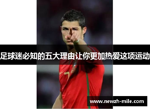 足球迷必知的五大理由让你更加热爱这项运动 足球迷必知的五大理由让你更加热爱这项运动