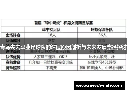 青岛失去职业足球队的深层原因剖析与未来发展路径探讨